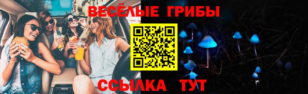 Галлюциногенные грибы GOLDEN TEACHER  Галлюциногенные грибы ЛСД  Вход с VPN  Якутск 